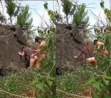 มีความสุขในป่าแห่งความรัก